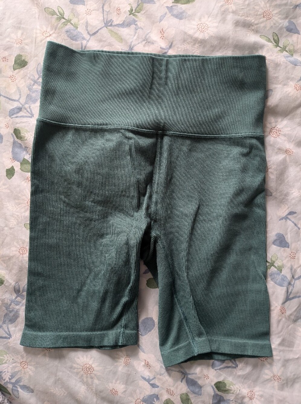 DSG Ribbed High-Waist Bike Shorts in Teal